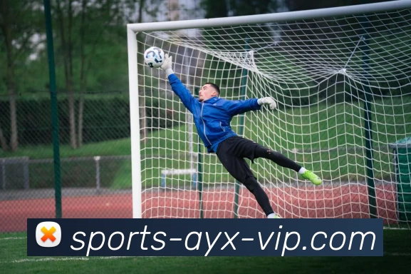 AYX体育APP 封面图